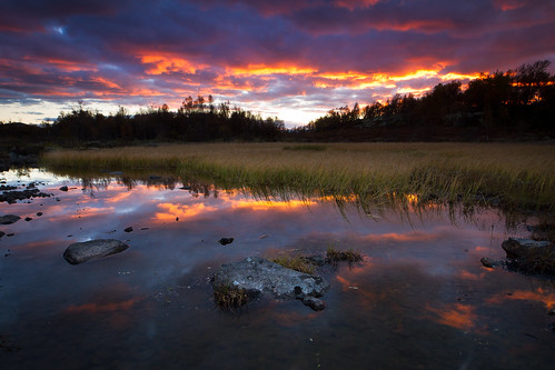 sunset nationalpark dovre dovrefjell nasjonalpark fokstumyra steintjønne