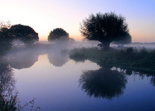 travel england mist reflection tourism water colors silhouette sunrise landscape dawn scenery shadows view cattle sony scenic beautifullight peaceful commons places farmland pasture workshop vista thingstodo magical essex stillness daytrip daybreak daysout gettyimages 2012 dedhamvale constablecountry destinations travelphotography fiap apictureofbritain earlymorningmist reflectionsinwater thingstosee sonycybershotdsch1 placesofinterest ancienttrees englandsheritage sonycybershoth1 naturalengland englishlandscape stourriver countryfile carlzeisslens magicalplaces ilikeyourstyle essexrivers reflectionsofpassion countyofessex extraordinarysunlitphotos atmosphericlandscape britishtrees gnpc countrysideimages beautifulflickrcomposition gnpcland1 photographybychristopherstrickland