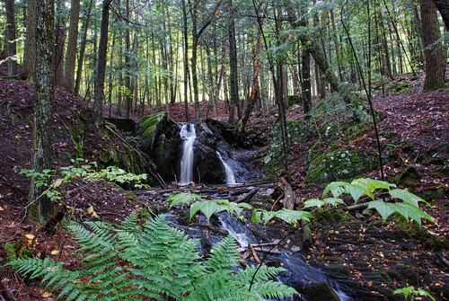waterfall woods vermont falls glen waterfalls orangecounty vt fairlee downstream glenfalls fairleevt vermontdreams