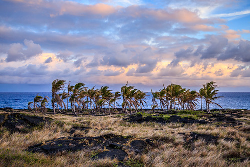 trees sunset landscape hawaii lava nationalpark scenic palm tropical volcanoes