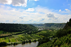 mosel valley / 02