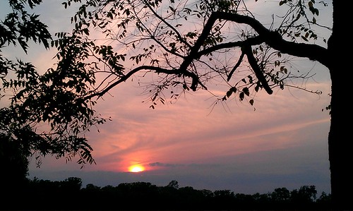 cameraphone sunsets skygazing