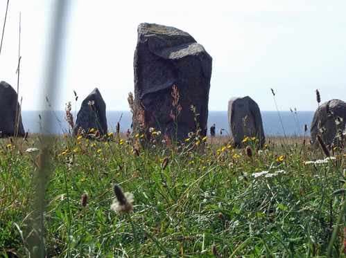 stones meadow alesstenar