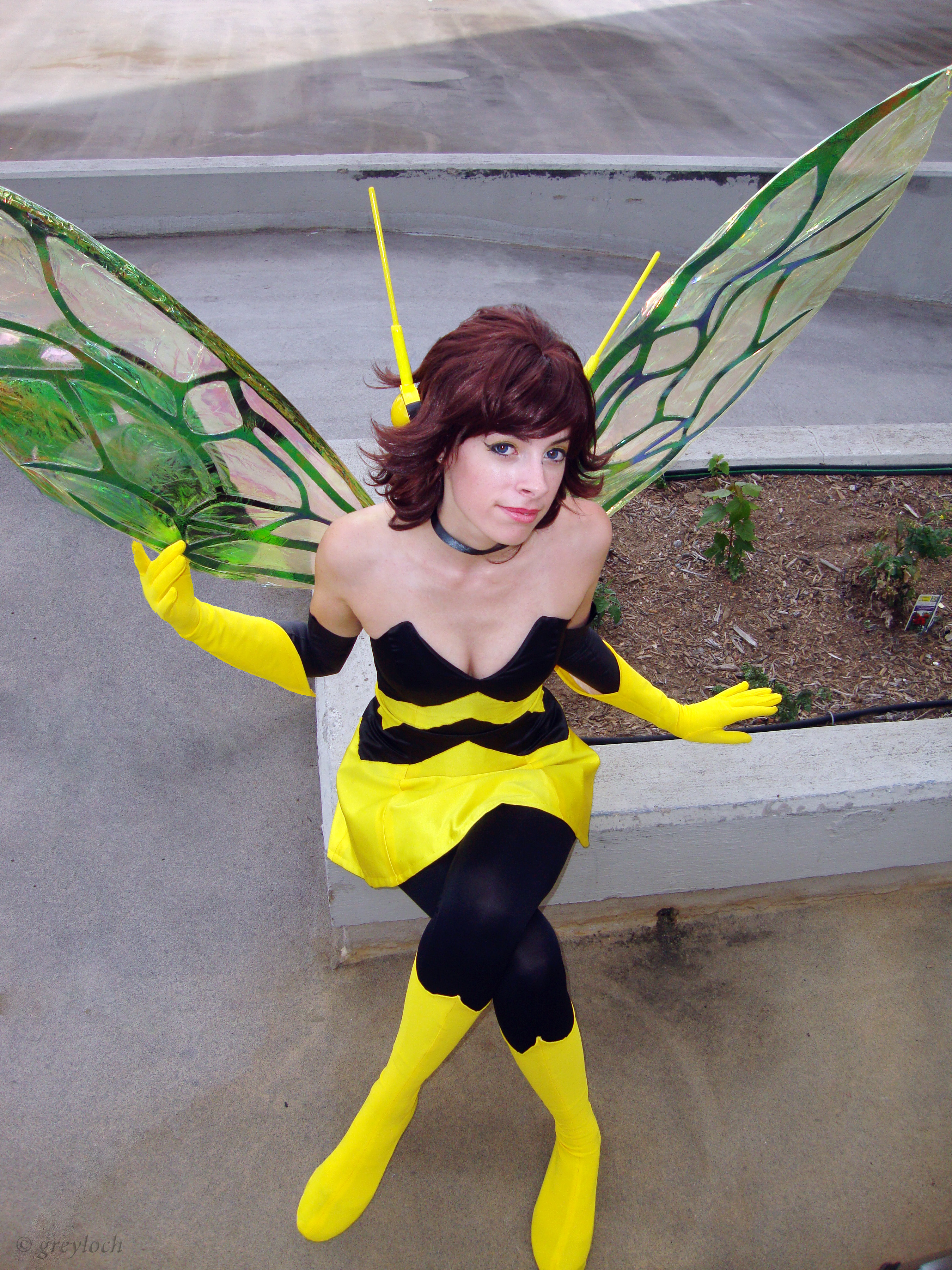 The Wasp | Flickr - Photo Sharing!