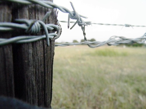 wood field fence wire barbedwire