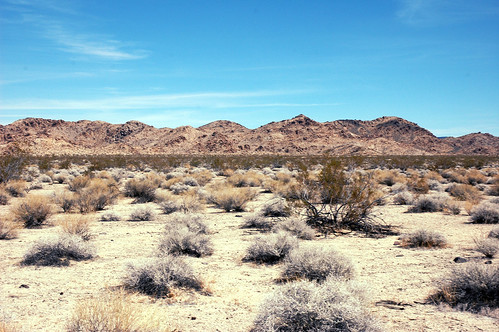 california usa mountain landscape sand unitedstates desert nikond70s brush mojave 2012 sanbernandino