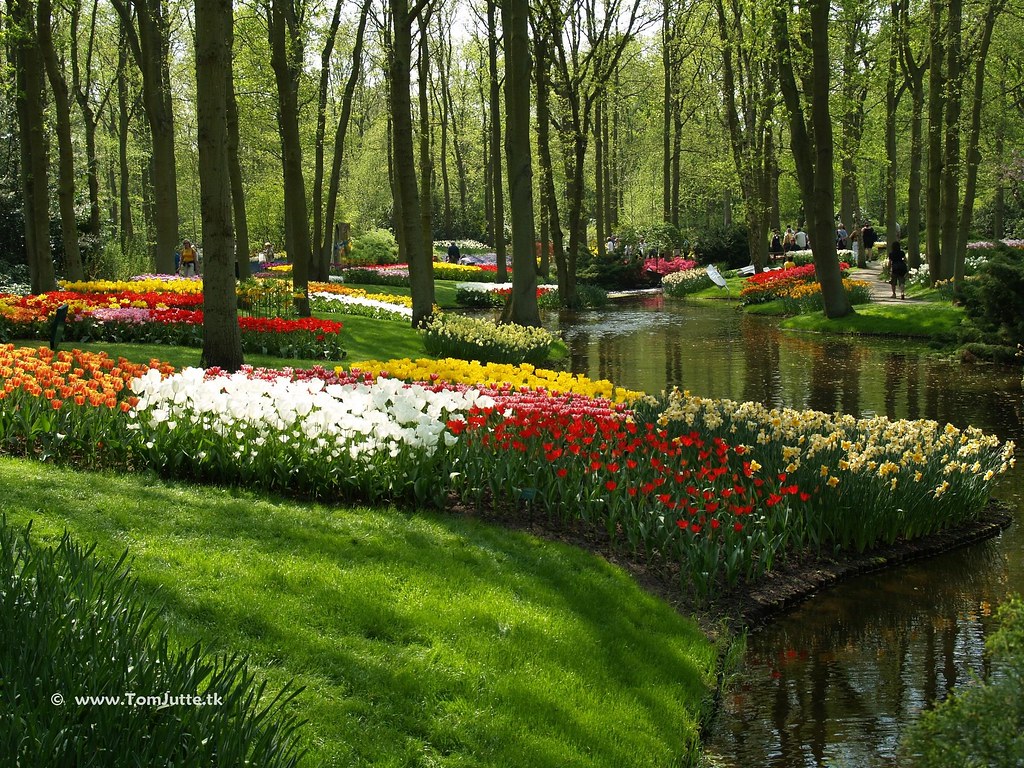 Keukenhof Flower Garden - a Kingdom of Tulips