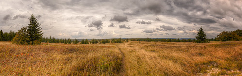 park trip sky panorama mountain mountains field path scenic hike westvirginia wilderness spruce hdr dollysods