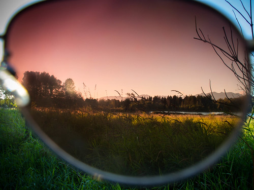 light lake grass sunglasses vancouver canon lens eos branches frame burnaby deerlake 60d