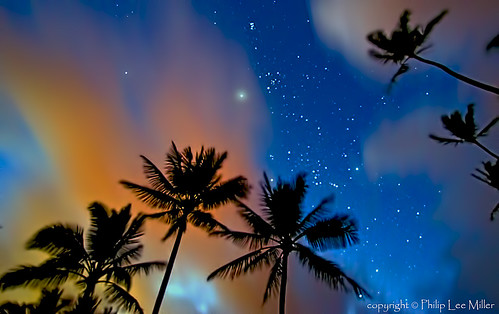 nightphotography nature stars landscape hawaii venus palmtrees kauai hanalei longexposures d7000 galleryoffantasticshots bestevergold