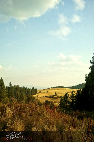 county field landscape outside town washington spokane photoaday 365 outskirts