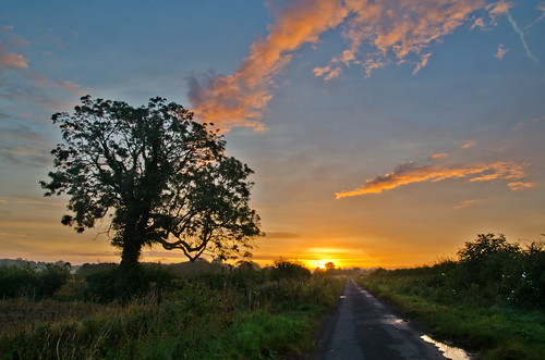 summer sunrise countryside nikon countrylane snainton pd1001 d7000 pauldowning pauldowningphotography