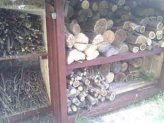 wood pile - Photo of Saint-André-de-Majencoules