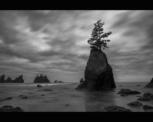 ocean longexposure sky bw motion tree beach water clouds flow washington sand rocks surf waves unitedstates pacific shishi seastack clallambay pointofthearches ndx1000 nikonwideanglepcenikkor24mmf35ded