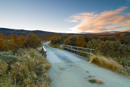 dovre fall frost dovrefjell fokstumyra autumn bridge outdoor heather landscape tree river