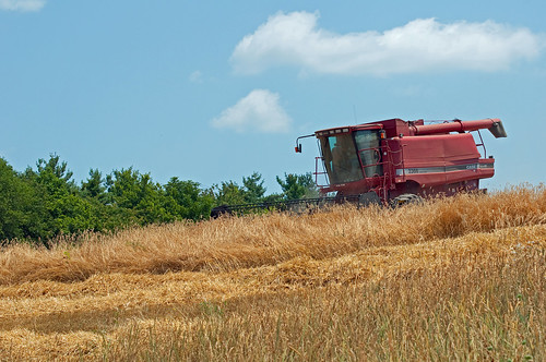 field farming grain harvest combine fields hay