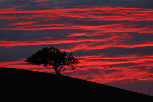 sunset red tree night clouds rural cloudy oaktree sanbenitocounty canon7d