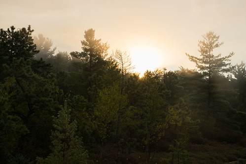 morning sunrise dawn unitedstates newhampshire bog amherst