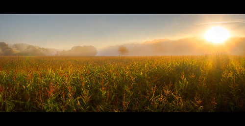 field sunrise landscape crop cottageroadwoods
