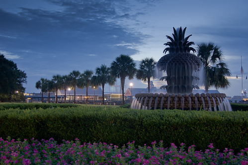 morning flowers blue trees sky sc night clouds sunrise southcarolina clear charleston palmetto waterfrontpark lowcountry palmettotree pineapplefountain sonya55