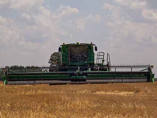 summer wheat harvest combine johndeere