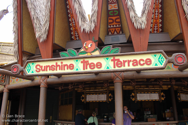Sunshine Tree Terrace