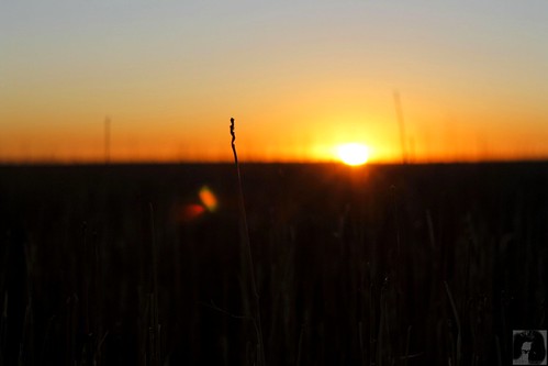 sunrise colorado watkins