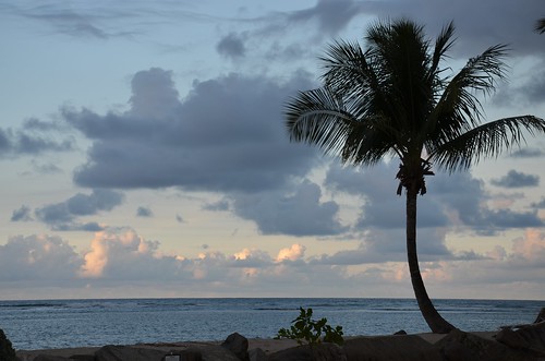 beach puertorico palmtrees 2012 faved november2012 granmeliá