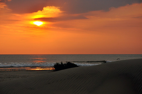 morning orange usa sun hot sunrise dawn sand warm texas dunes sandy lonestar padreisland southpadre
