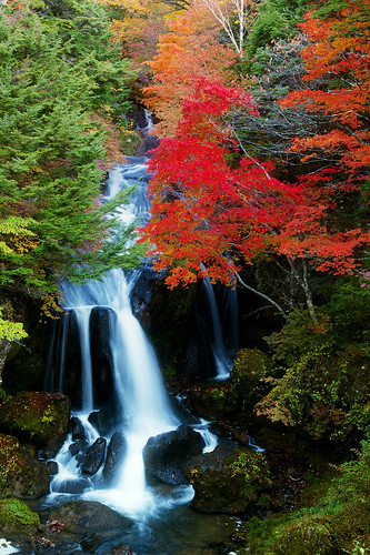 紅葉 日光 龍頭の滝 日本の滝百選