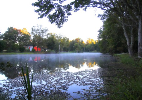 mist lake fog sunrise pond florida