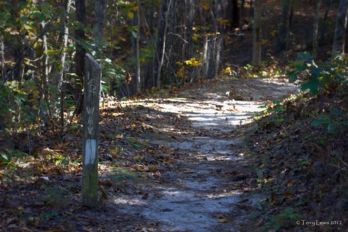 autumn landscape trail