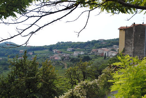 vacation italy alps green view wine winery frame 2012 tommasobussola