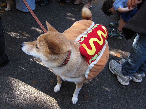 Hotdog dog costume