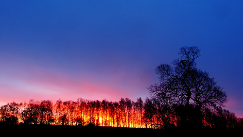 sunrise dawn northumberland