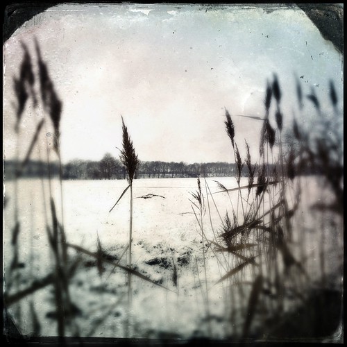 winter white landscape iphone siedenburg dirkrauschkolb ~~dirk~~ hipstamatic iphone4s
