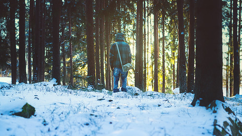 trees winter light sunset panorama sun snow nature forest 50mm woods dof sweden brenizer dt50mmf18sam sonyslta57