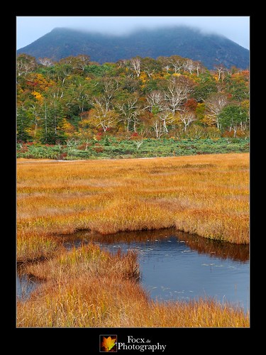 autumn japan landscape hokkaido colours olympus shinsennuma em5 神仙沼