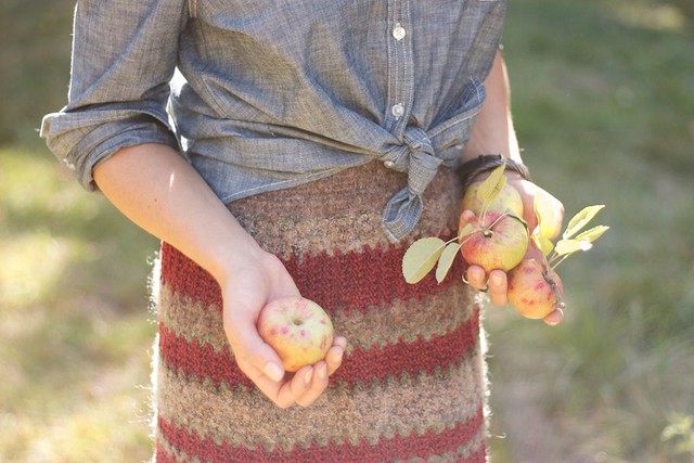 riley apple farm by lani trock