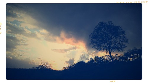 sunset pordosol tree mobile clouds motorola nuvens árvore defy pixlromatic