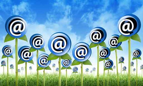 Email Internet Inbox Flowers Sprouting