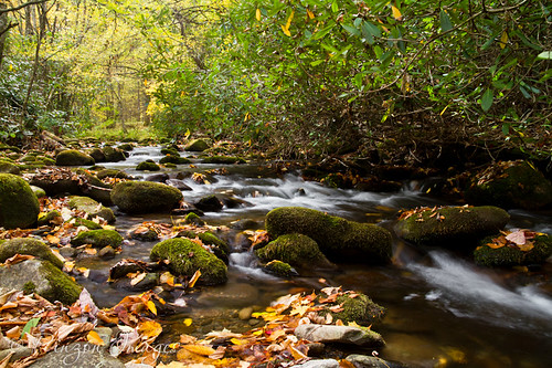 autumn mountain history fall nature water creek forest stream north carolina cataloochee