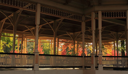 park autumn trees fall stlouis foliage missouri pavilion shelter carondeletpark