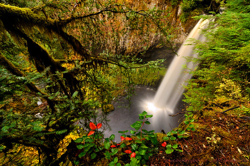 longexposure autumn colors waterfall washington moss canyon plunge giffordpinchot bigcreekfalls