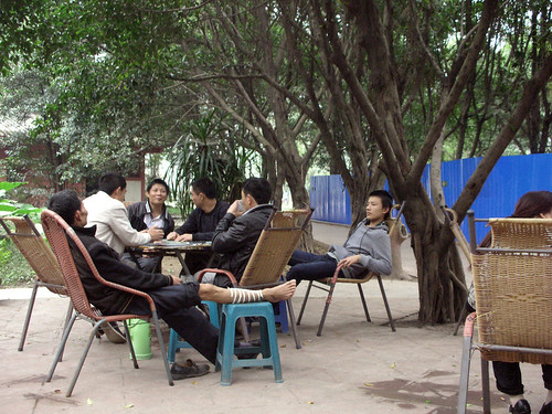china park youth relaxing playingcards yibin