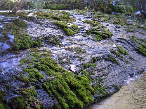 nacimiento río paisaje naturaleza