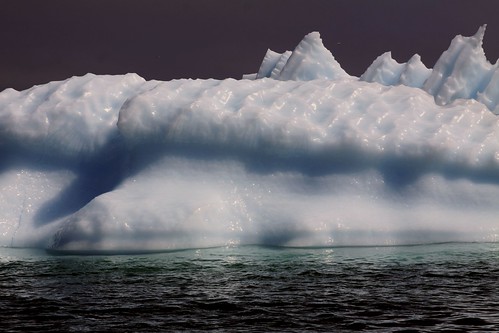 newfoundland interestingness interesting iceberg stanthony msmaasdam voyageofthevikings