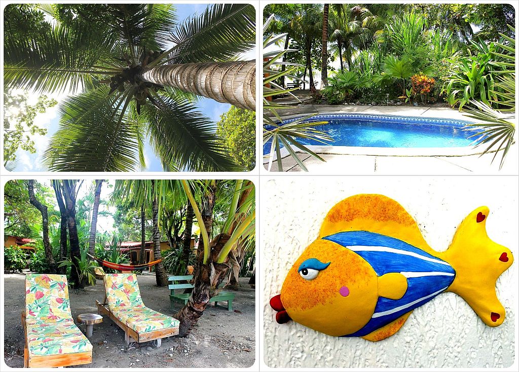 Hotel Fenix Samara Beach Costa Rica