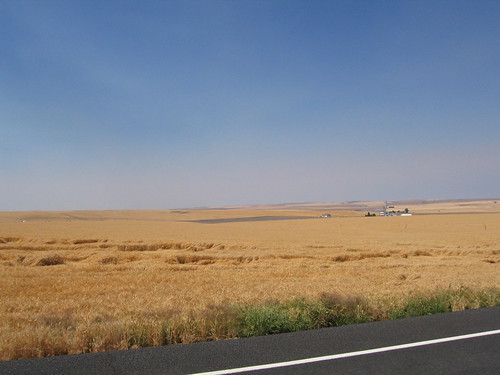 usa field landscape washington