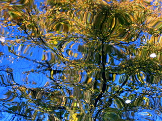 October water reflections 2